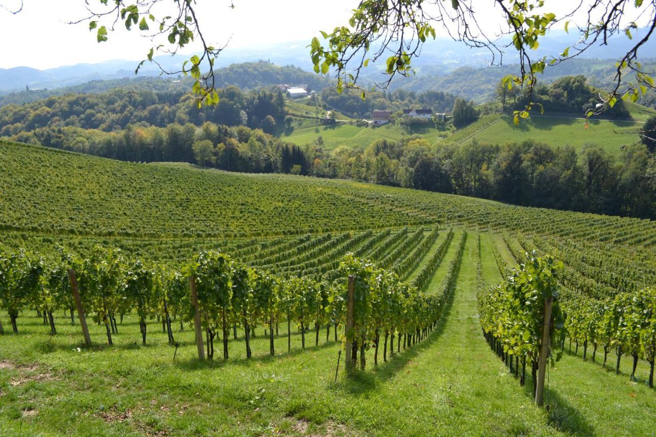 Bed and Breakfast Weingut Fellner Leutschach Exterior foto